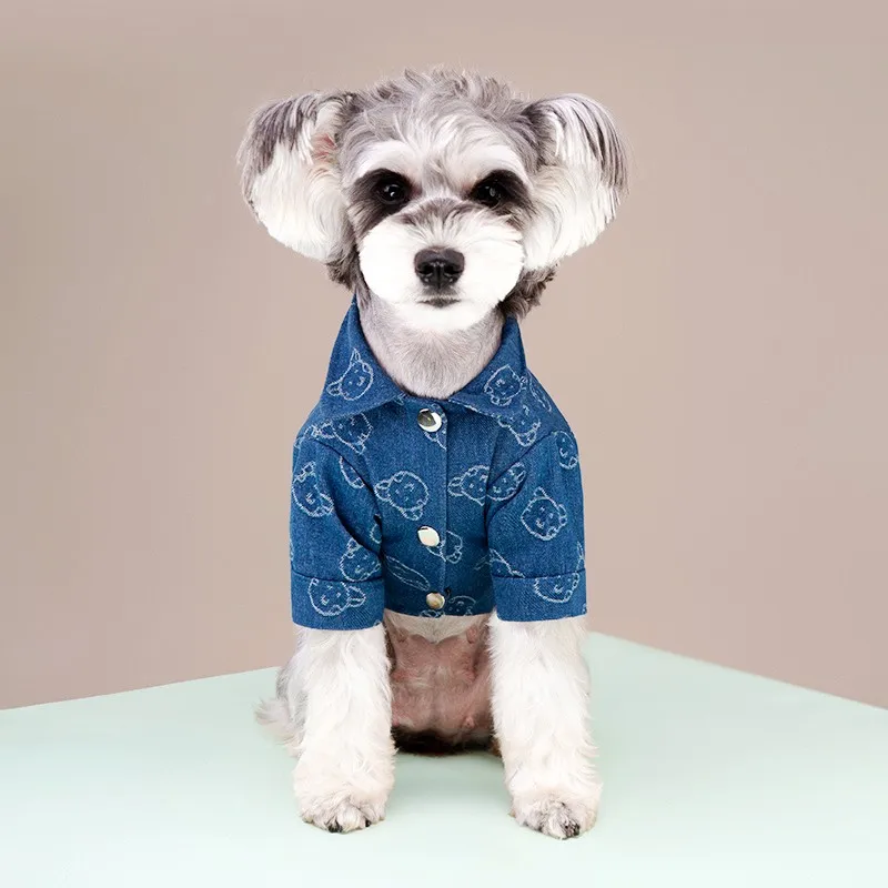 Малко бяло куче, облечено в дънкена риза Denim Smile, позиращо в градска среда