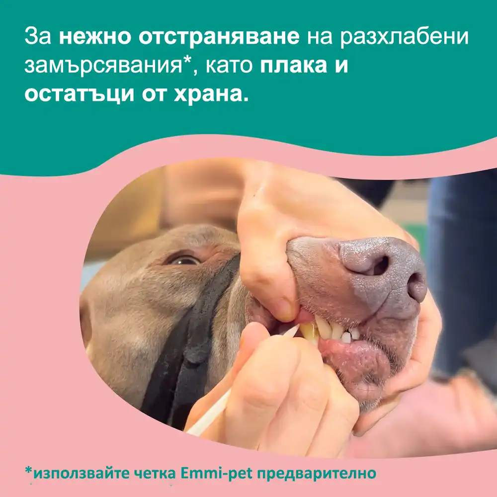 Emmi-pet Rosewood Sticks Пръчици от палисандрово дърво за зъби за кучета и котки